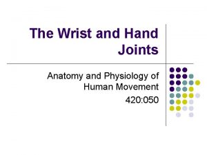 The Wrist and Hand Joints Anatomy and Physiology