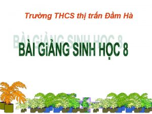 Trng THCS th trn m H Kim tra