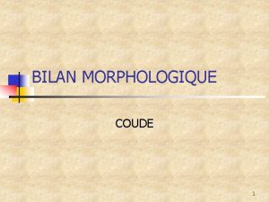 BILAN MORPHOLOGIQUE COUDE 1 Situation n n Comme