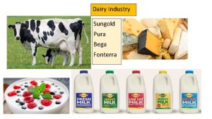 Dairy Industry Sungold Pura Bega Fonterra Milk is