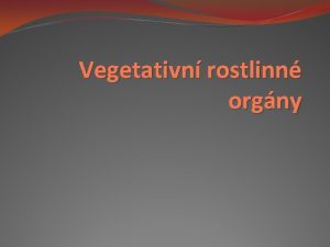 Vegetativn rostlinn orgny List lnek funkce FTS prduchy