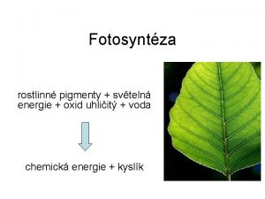 Fotosyntza rostlinn pigmenty svteln energie oxid uhliit voda
