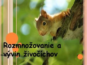 Rozmnoovanie a vvin ivochov Biolgia 9 ronk Rozmnoovanie