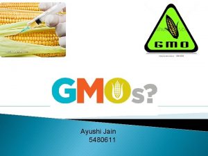 Ayushi Jain 5480611 Definition GMO Genetically modified organism