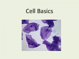 Cell Basics What IS a Cell The smallest