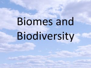 Biomes and Biodiversity Analogy Match the following to