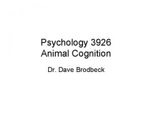 Psychology 3926 Animal Cognition Dr Dave Brodbeck Introduction