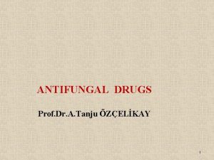 ANTIFUNGAL DRUGS Prof Dr A Tanju ZELKAY 1