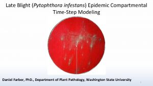 Late Blight Pytophthora infestans Epidemic Compartmental TimeStep Modeling