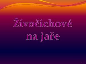 ivoichov na jae 1 Jak a kdy zan