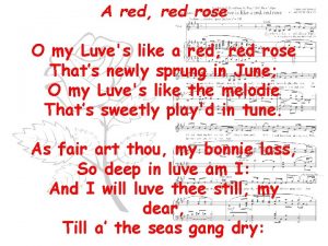 A red red rose O my Luves like