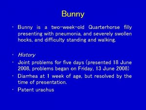 Bunny Bunny is a twoweekold Quarterhorse filly presenting