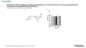 Oleocanthal Inhibits Catabolic and Inflammatory Mediators in LPSActivated