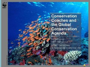 Conservation Coaches and the Global Conservation Agenda PJ
