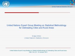 United Nations Expert Group Meeting on Statistical Methodology