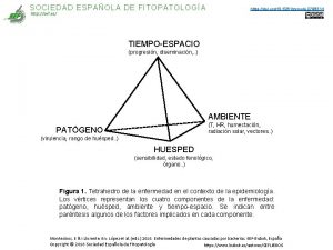 SOCIEDAD ESPAOLA DE FITOPATOLOGA https doi org10 5281zenodo