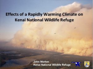 Effects of a Rapidly Warming Climate on Kenai