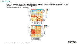 Effects of Long NonCoding RNA LINC 00963 on