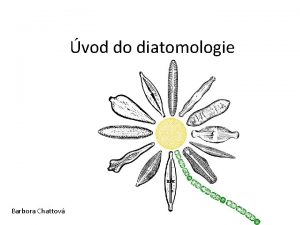 vod do diatomologie Barbora Chattov Obsah pedmtu 1