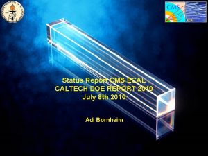 Status Report CMS ECAL CALTECH DOE REPORT 2010