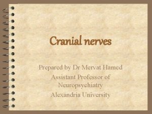 Cranial nerves Prepared by Dr Mervat Hamed Assistant