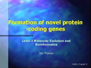 Formation of novel protein coding genes Level 3