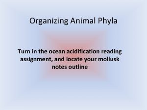 Organizing Animal Phyla Turn in the ocean acidification