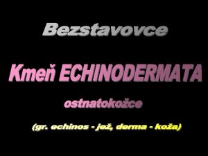 Podkme Echinozoa gr echinosje zonzviera Triedy Edrioasteroidea Echinoidea