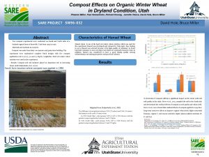 Compost Effects on Organic Winter Wheat in Dryland