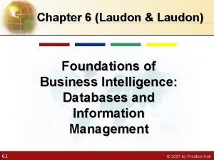 Chapter 6 Laudon Laudon Foundations of Business Intelligence