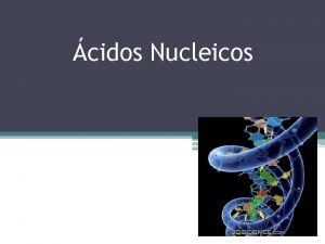 cidos Nucleicos Caractersticas generales de los cidos nucleicos