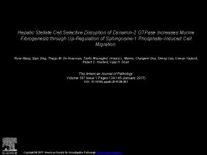 Hepatic Stellate Cell Selective Disruption of Dynamin2 GTPase