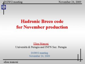 DGWG meeting November 24 2009 Hadronic Breco code