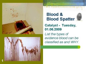 Blood Blood Spatter Catalyst Tuesday 01 06 2009