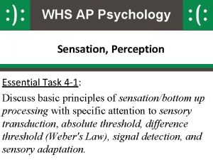 WHS AP Psychology Sensation Perception Essential Task 4