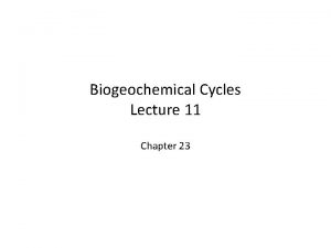 Biogeochemical Cycles Lecture 11 Chapter 23 Nutrients Macronutrients