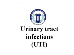 Urinary tract infections UTI 1 At the end