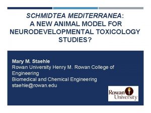 SCHMIDTEA MEDITERRANEA A NEW ANIMAL MODEL FOR NEURODEVELOPMENTAL