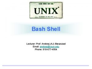 Bash Shell Lecturer Prof Andrzej AJ Bieszczad Email