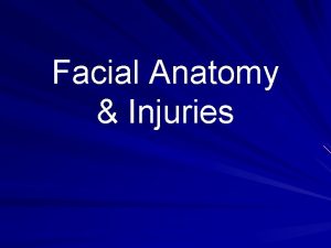 Facial Anatomy Injuries Facial Anatomy There are 18