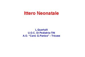 Ittero Neonatale L Quartulli U O C Di