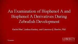 An Examination of Bisphenol A and Bisphenol A