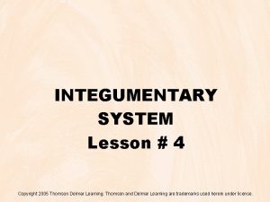 INTEGUMENTARY SYSTEM Lesson 4 Copyright 2005 Thomson Delmar