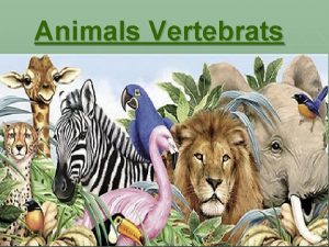 Animals Vertebrats INDX 1 2 3 4 Esquema