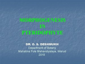 MORPHOGENESIS IN PTERIDOPHYTE DR O S DESHMUKH Department