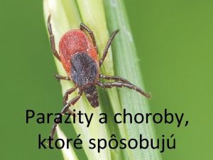 Parazity a choroby ktor spsobuj o s parazity