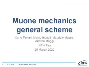 Muone mechanics general scheme Carlo Ferrari Marco Incagli