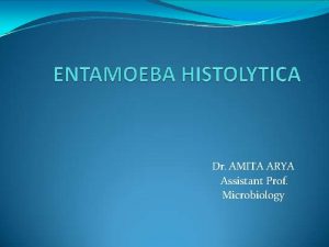 Dr AMITA ARYA Assistant Prof Microbiology INTRODUCTION Kingdom