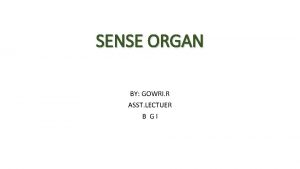 SENSE ORGAN BY GOWRI R ASST LECTUER B