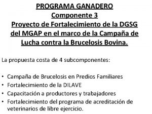 PROGRAMA GANADERO Componente 3 Proyecto de Fortalecimiento de